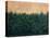 Lakeshore Sunrise-James W Johnson-Premier Image Canvas