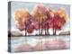 Lakeside Forest-Doris Charest-Stretched Canvas