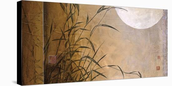 Lakeside Moonrise-Don Li-Leger-Stretched Canvas