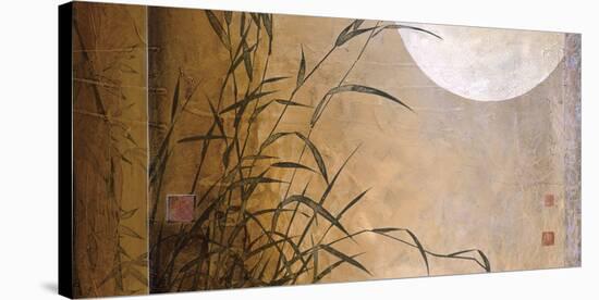 Lakeside Moonrise-Don Li-Leger-Stretched Canvas