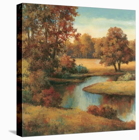 Lakeside Serenity I-TC Chiu-Stretched Canvas