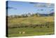 Lamar Valley - Pronghorn and Bison-Galloimages Online-Premier Image Canvas