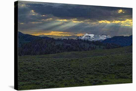 Lamar Valley Sunrise-Galloimages Online-Stretched Canvas