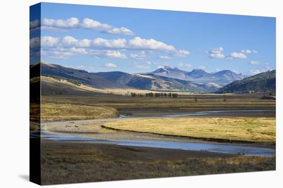 Lamar Valley, Yellowstone National Park, Wyoming, United States of America, North America-Gary Cook-Premier Image Canvas