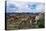 Lamas Family in El Cajas National Park, Ecuador-brizardh-Premier Image Canvas