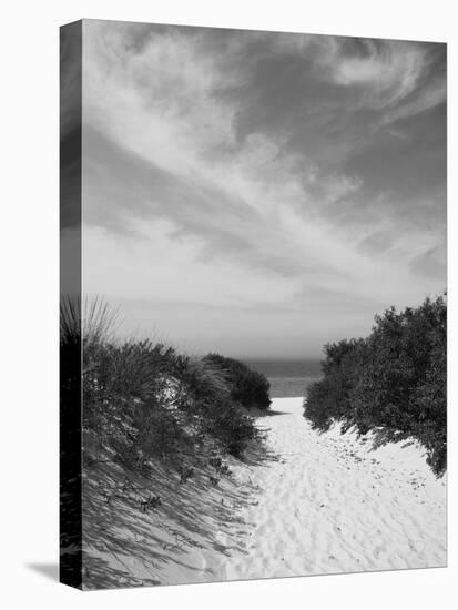 Lambert's Cove Beach, North Tisbury, Martha's Vineyard, Massachusetts, USA-Walter Bibikow-Premier Image Canvas