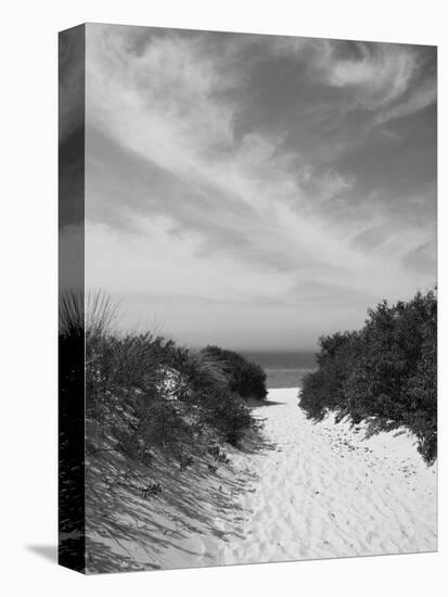 Lambert's Cove Beach, North Tisbury, Martha's Vineyard, Massachusetts, USA-Walter Bibikow-Premier Image Canvas