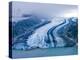 Lamplugh Glacier, Glacier Bay National Park, Alaska, Pacific Northwest, Usa-Jerry Ginsberg-Premier Image Canvas