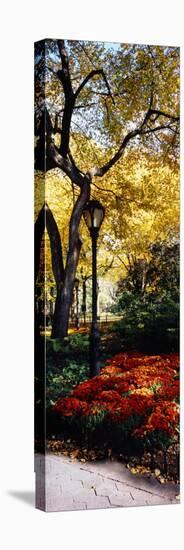 Lamppost in a Park, Central Park, Manhattan, New York City, New York, USA-null-Premier Image Canvas