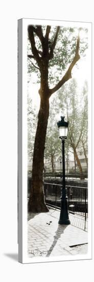 Lamppost-Joane Mcdermott-Stretched Canvas