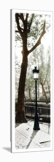 Lamppost-Joane Mcdermott-Stretched Canvas