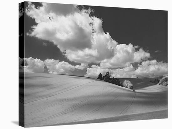 Land and Sky II B&W-Bill Philip-Stretched Canvas