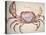 Land Crab-John White-Premier Image Canvas