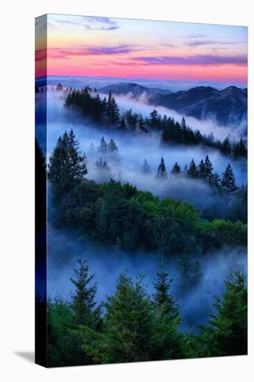 Land of Dreams and Fog, Sunset Over San Francisco Bay Area Hills-Vincent James-Premier Image Canvas