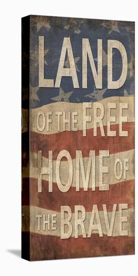 Land of the Free Home of the Brave-Sparx Studio-Stretched Canvas