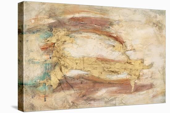 Land, Water, Sky-Gabriela Villarreal-Stretched Canvas