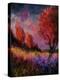 Landscape 560120-Pol Ledent-Stretched Canvas