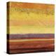 Landscape 5-Jeannie Sellmer-Stretched Canvas