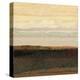 Landscape 6-Jeannie Sellmer-Stretched Canvas