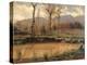 Landscape After the Rain-Filippo Palizzi-Premier Image Canvas