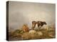 Landscape and Cattle, C1823-1902-Thomas Sidney Cooper-Premier Image Canvas