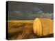 Landscape and Hay Roll in Alberta, Canada-Walter Bibikow-Premier Image Canvas