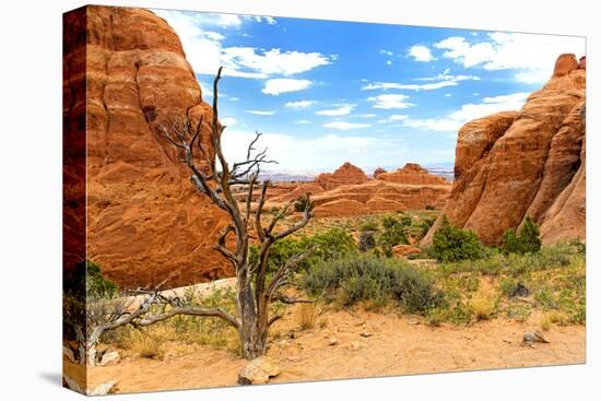 Landscape - Arches National Park - Utah - United States-Philippe Hugonnard-Premier Image Canvas