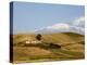 Landscape around Enna with Mount Etna in the Background, Enna, Sicily, Italy, Europe-Levy Yadid-Premier Image Canvas