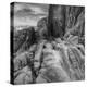 Landscape at White Tank, Joshua Tree (Square)-Vincent James-Premier Image Canvas