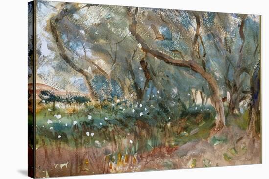 Landscape, Corfu, 1909-John Singer Sargent-Premier Image Canvas