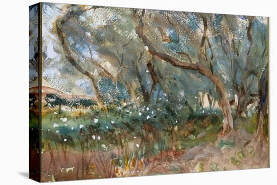 Landscape, Corfu, 1909-John Singer Sargent-Premier Image Canvas