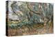 Landscape, Corfu, 1909-John Singer Sargent-Premier Image Canvas