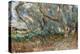 Landscape, Corfu, 1909-Eug?ne Boudin-Premier Image Canvas