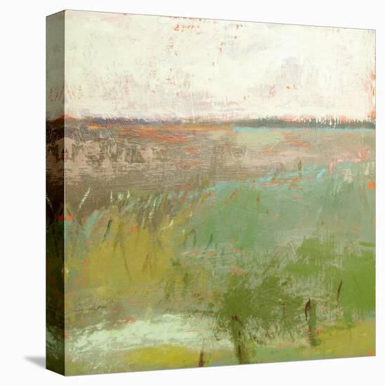 Landscape II-Jane Schmidt-Stretched Canvas
