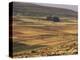 Landscape in Autumn, Near Teruel, Aragon, Spain-Michael Busselle-Premier Image Canvas