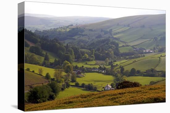 Landscape in Powys, Wales, United Kingdom, Europe-Rob Cousins-Premier Image Canvas