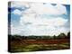 Landscape in S. Tennessee-Helen J. Vaughn-Premier Image Canvas