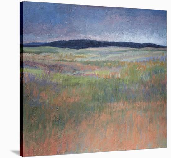 Landscape in Silvery Light-Jeannie Sellmer-Stretched Canvas