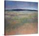 Landscape in Silvery Light-Jeannie Sellmer-Stretched Canvas