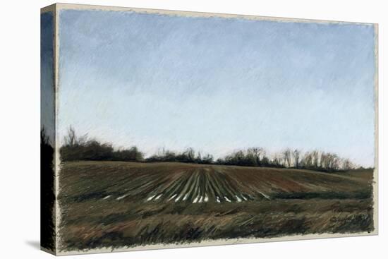 Landscape in South Tennessee, c.1998-Helen J. Vaughn-Premier Image Canvas