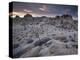 Landscape, Joshua Tree National Park, California, United States of America, North America-Colin Brynn-Premier Image Canvas