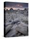 Landscape, Joshua Tree National Park, California, United States of America, North America-Colin Brynn-Premier Image Canvas