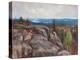 Landscape (Maisema Kolilta). 1929-Eero Jarnefelt-Premier Image Canvas