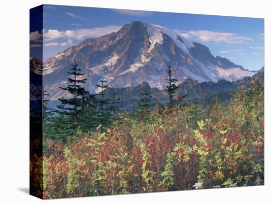Landscape, Mount Rainier National Park, Washington State, United States of America, North America-Colin Brynn-Premier Image Canvas