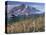 Landscape, Mount Rainier National Park, Washington State, United States of America, North America-Colin Brynn-Premier Image Canvas