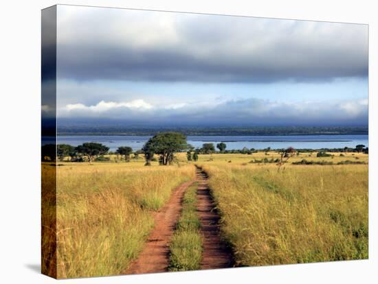 Landscape, Murchison Falls National Park, Uganda, East Africa-Ivan Vdovin-Premier Image Canvas
