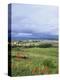 Landscape Near Ardara, County Donegal, Ulster, Eire (Republic of Ireland)-David Lomax-Premier Image Canvas