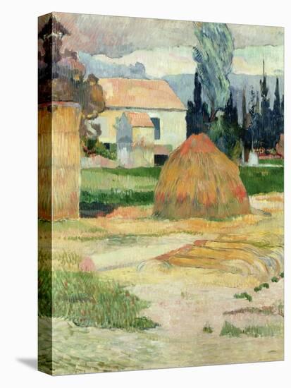 Landscape Near Arles, 1888-Paul Gauguin-Premier Image Canvas