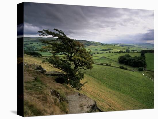 Landscape Near Austwick, Yorkshire Dales National Park, Yorkshire, England, United Kingdom, Europe-Patrick Dieudonne-Premier Image Canvas