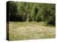 Landscape Near Cahors, Lot, Midi Pyrenees, France-Michael Busselle-Premier Image Canvas